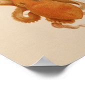 1896  kleureninktkunst poster (Hoek)