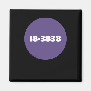 18-3838 MAGNEET