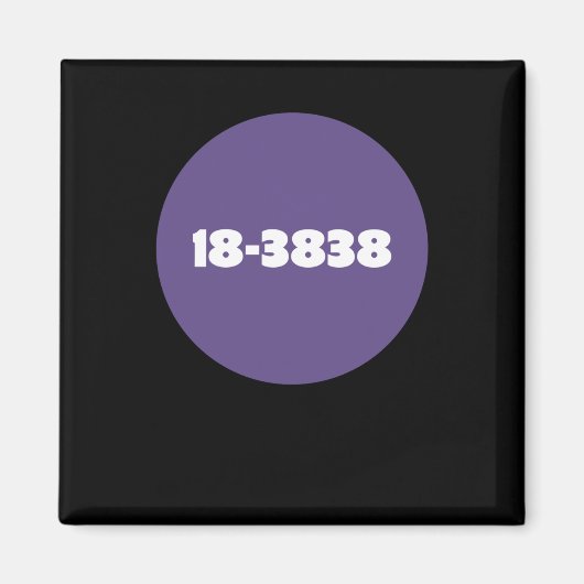 18-3838 MAGNEET (Voorkant)