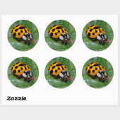 18-Geel en zwart Ladybug Ronde Sticker (Vel)