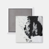 18 januari 2010 - Ross Zee, Antarctica Magneet (Voorkant / Achterkant)