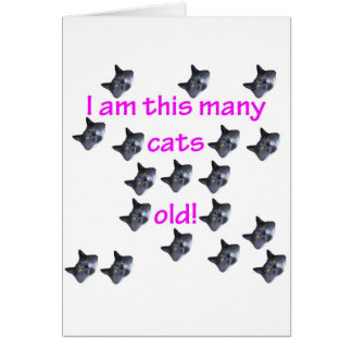 18 Kattenkoppen oud
