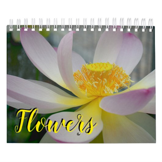 18 maanden lagere kalender (Hoes)