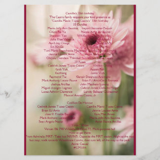 18E CAMILLE PROGRAMMA