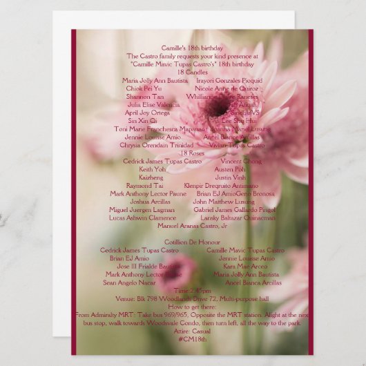 18E CAMILLE PROGRAMMA (Voorkant / Achterkant)