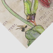 18e eeuw Royal Ephemera Tissuepapier (Detail)