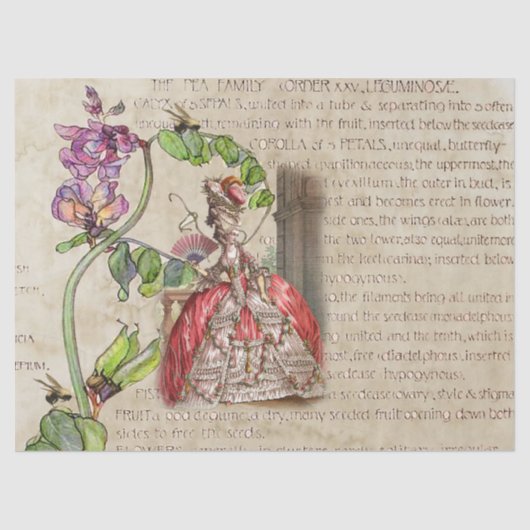 18e eeuw Royal Ephemera Tissuepapier (Voorkant)