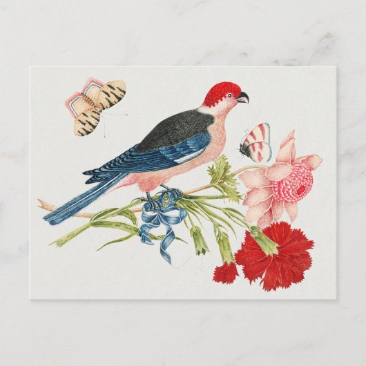 18e-eeuwse vogels, bloemen en vlinders briefkaart (Voorkant)