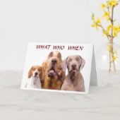 **18e*** GROTE DAG **HOE WAT IS HET?** Kaart (Gele Bloem)