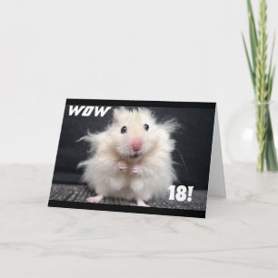 ***18e TWEEDE DAG WISSEN*** W0W HAAR IS AAN HET EI Kaart