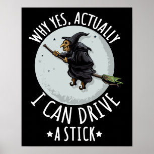 18Waarom Ja Eigenlijk Kan Ik Een Stok Sturen Funny Poster
