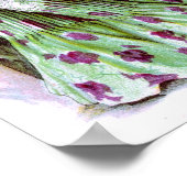 1901  jurken poster (Hoek)