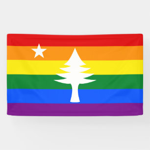 1901 Maine Flag Outdoorbanner - Rainbow Edition Spandoek