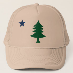 1901 Maine Flag Pet