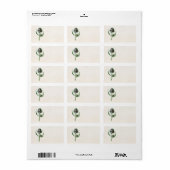  1902 Oude Schotse Thistle Wild Flower Etiket (Full Sheet)