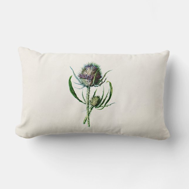  1902 Oude Schotse Thistle Wild Flower Kussen (Voorkant)