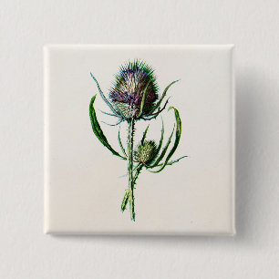 1902 Oude Schotse Thistle Wild Flower Vierkante Button 5,1 Cm