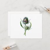  1902 Schots Thistle Antiek Wilde Bloem Kaart (Voorkant / Achterkant in situ)
