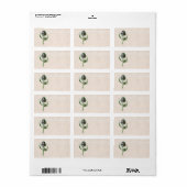  1902 Schotse Thistle Old Wild Flower Etiket (Full Sheet)