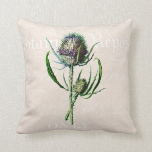 1902 Schotse Thistle Old Wild Flower Kussen