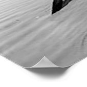 1903 Adirondack Mts. Affiche (Coin)