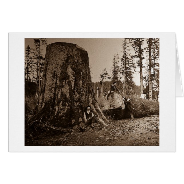 1903  lumberjacks Magic Lantern Slide (Voorkant Horizontaal)