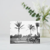 1904 Golfing Palm Beach Fl. Postcard Briefkaart (Staand voorkant)