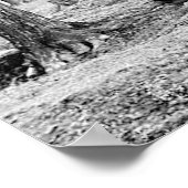 1904 Poster van het suikerkamp van Maple (Hoek)