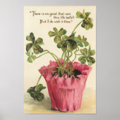 1905 Botanische Wand Poster (Voorkant)