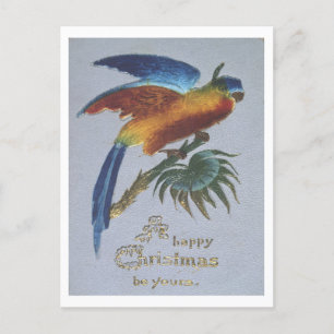  1905 Kerstgroeten met papegaai Briefkaart