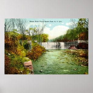 1908 Bronx River Herfsten, Bronx Park, New York Ci Poster
