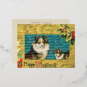 1908 Collie Dogs Gold Happy Kerstmis Gold Folie Feestdagen Briefkaart