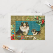  1908 Collie Dogs Gold Happy Kerstmis Kaart (Voorkant / Achterkant in situ)