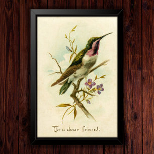  1908 Mexicaanse ster Hummingbird Vriendschap Poster