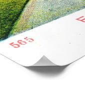 1908  Prospect Park, Brooklyn, NY Poster (Hoek)