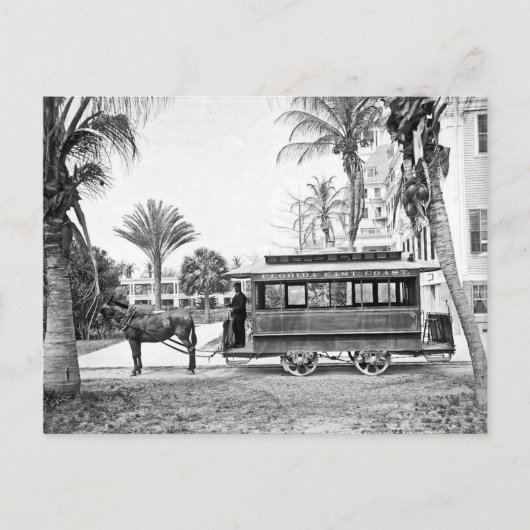 1909 Palm Beach Florida Trolley Carte postale (Devant)