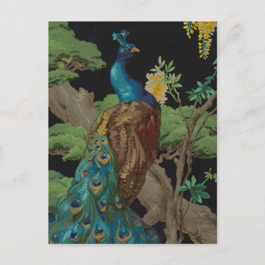 1910  behangsel De cedar-boom Briefkaart (Voorkant)