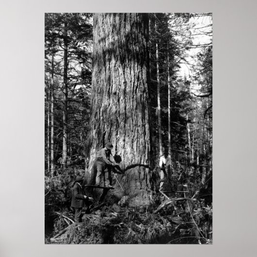 1910 STANLEY PARK CANADA LOGGGERS POSTER (Voorkant)