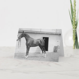 1911 Show Paarden Kaart