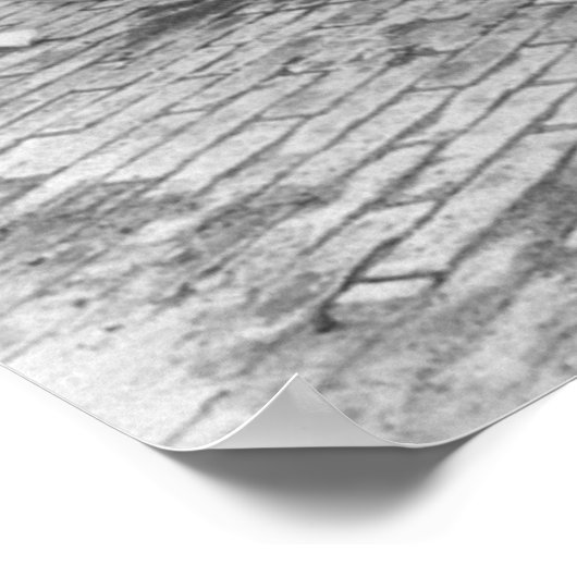 1913 Race-auto Poster (Hoek)