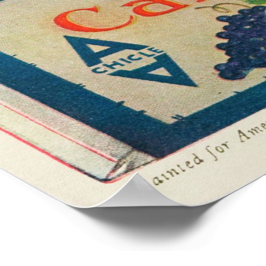 1920-afdrukken en adamfruitgom poster (Hoek)