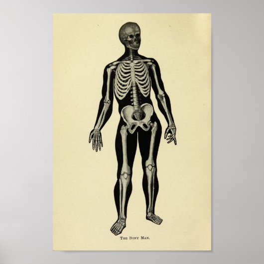 1920 Skeleton Anatomy Art Print (Voorkant)