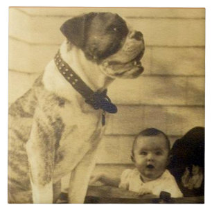 1920s pitbullbewakers baby tegeltje