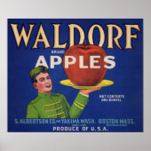 1920s Waldorf Appels krat label print (Voorkant)