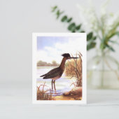 1926 PEUTERVOGELS "GROENE REIGER" ondertekend Briefkaart (Staand voorkant)