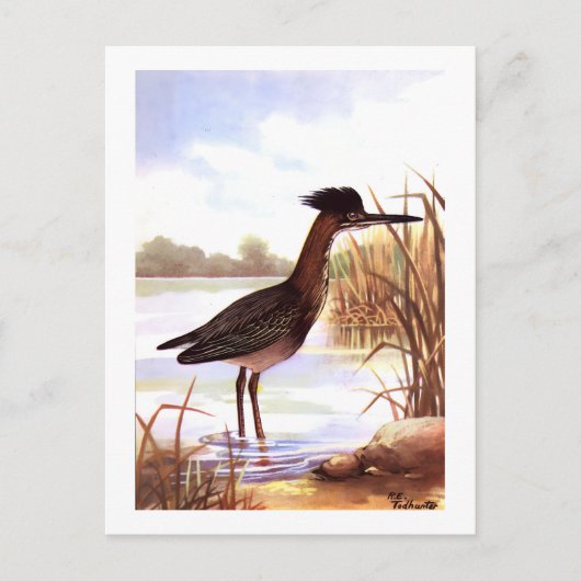 1926 PEUTERVOGELS "GROENE REIGER" ondertekend Briefkaart (Voorkant)