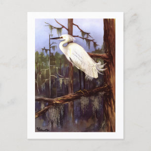 1926  PEUTERVOGELS "SNOWY EGRET" herdruk Briefkaart