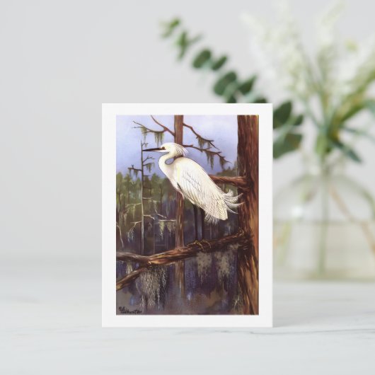 1926  PEUTERVOGELS "SNOWY EGRET" herdruk Briefkaart (Staand voorkant)