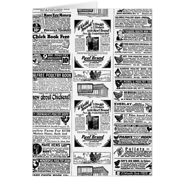 1928 Chicken Ads (Voorkant)