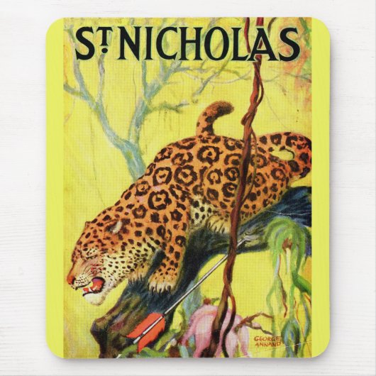 1929 St. Nicholas magazine cover leopard Muismat (Voorkant)